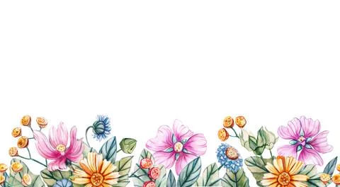Seamless horizontal pattern of wildflowers. Stock Illustration