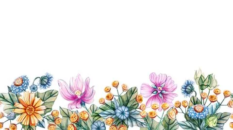 Seamless horizontal pattern of wildflowers. Stock Illustration