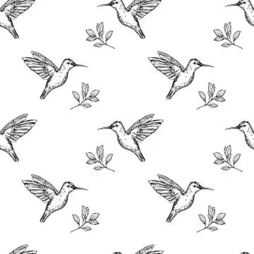 Seamless humming bird pattern 스톡 일러스트