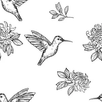 Seamless humming bird pattern 스톡 일러스트