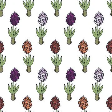 Seamless hyacinth pattern Illustrazione stock