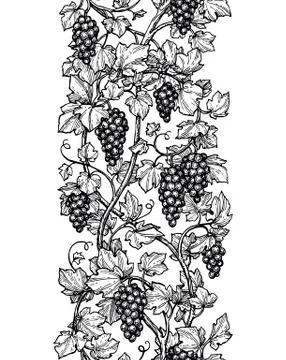 Seamless illustration of grapes. Stock-Illustration