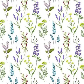 Seamless image of aromatic herbs. Hand drawing. Seamless for fabric design, gift Stock Illustration