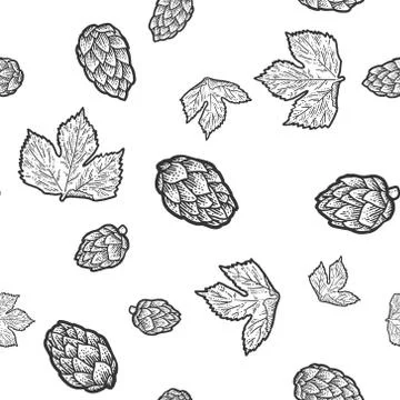 Seamless isolated objects. Sprig of blooming hops and leaves. Black and white Stock Illustration