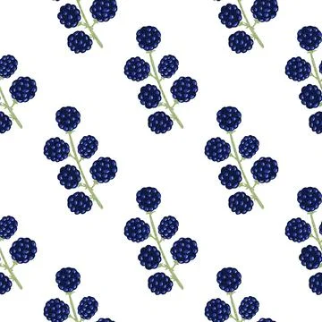 Seamless isolated pattern with doodle navy blue blackberries shapes. White ba Stock Illustration