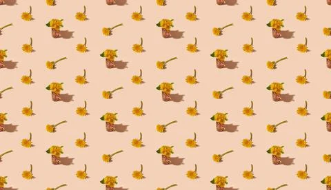 Seamless isometric pattern made of dandelion flowers. Spring or wild edible p Foto stock