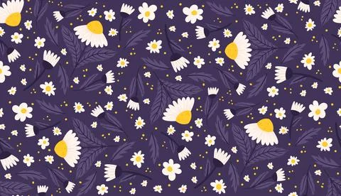 Seamless layout displaying midnight violet-colored daisies. Chamomile recurri Stock Illustration