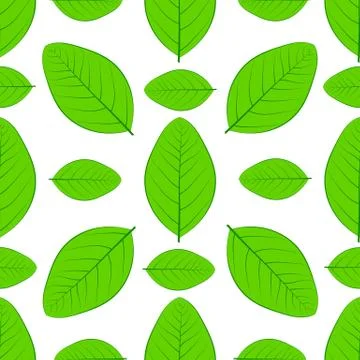 A seamless leaf pattern. Stock Illustration