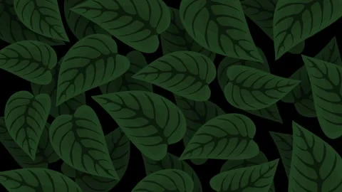 Seamless leafy pattern with darker shaded tropical foliage leaves Video stock 318201119