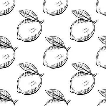 Seamless lemon sketch pattern, slice, engraving and black and white line. Stock Illustration