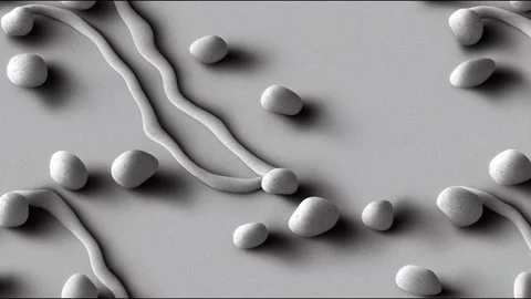 Seamless light gray concrete texture. Stone wall background. Horizontal Stock Footage 220126337