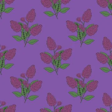 Seamless lilac pattern Stock Illustration