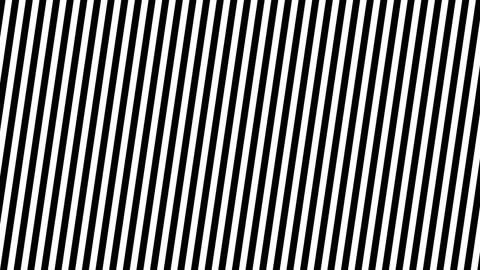 Seamless line moving vertically, White and Black tour visual Stock Footage 155387915