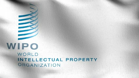 Seamless Loop 4K VDO. Flag of WIPO or World Intellectual Property Organizatio Stock Footage 147270766