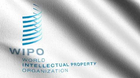 Seamless Loop 4K VDO. Flag of WIPO or World Intellectual Property Organizatio Stock Footage 147271035