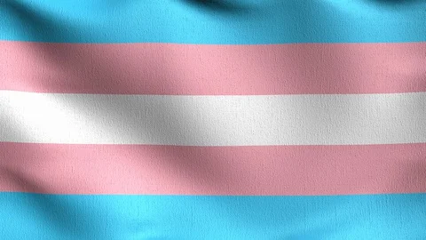 Seamless Loop 4K VDO. Transgender flag. ... | Stock Video | Pond5