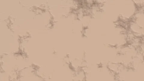 Seamless loop of abstract beige liquid ink spreading slowly Stock Footage 347956221