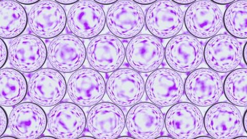Seamless loop of abstract glass lenses with a moving purple noise texture backgr Stock Footage 335095101