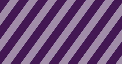 Seamless loop abstract striped animation. 4k resolution. Purple and white Line Stock Footage 239030404