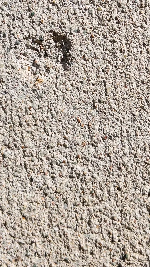 Seamless Loop Animated Cement Wall Texture Background Subtle Organic Surface  Stock Footage 331081504