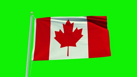 Seamless loop animation of the Canada flag on a green screen background. Stock Footage 202032995