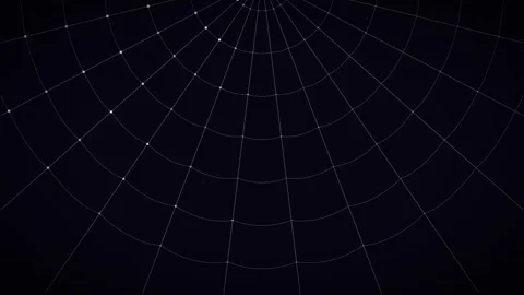 Seamless loop animation of a central spider web on a dark background Stock Footage 343266304