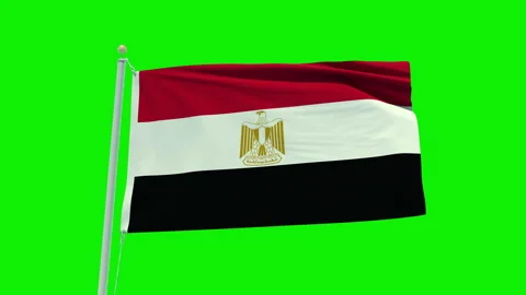 Seamless loop animation of the Egypt flag on a green screen background. Stock Footage 203843040