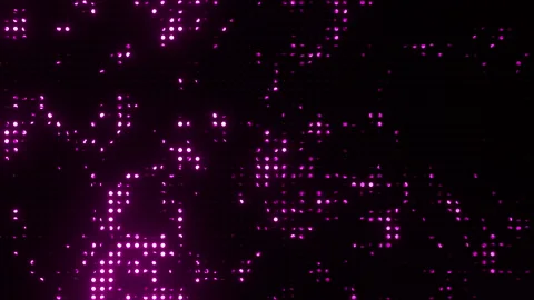 Seamless Loop Animation of Glittering Pink Lights on Black Background Stock Footage 316764861