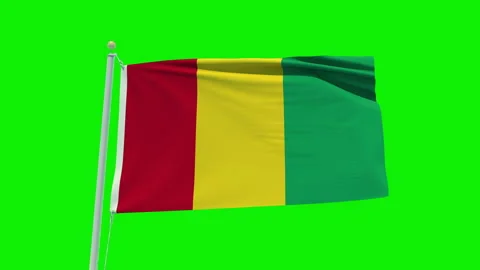 Seamless loop animation of the Guinea flag on a green screen background. Stock Footage 203844791