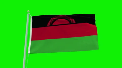 Seamless loop animation of the Malawi flag on a green screen background. Stock Footage 203854854