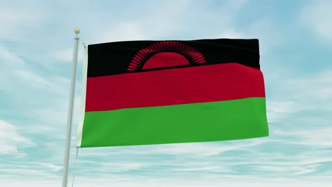 Seamless loop animation of the Malawi flag on a blue sky background. Stock Footage 211116999