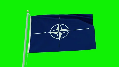 Seamless loop animation of the Nato flag on a green screen background. Stock Footage 203854489