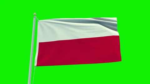 Seamless loop animation of the Poland flag on a green screen background. Stock Footage 203855801