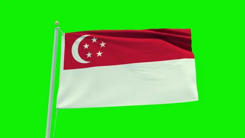 Seamless loop animation of the Singapore flag on a green screen background. Stock Footage 203856558