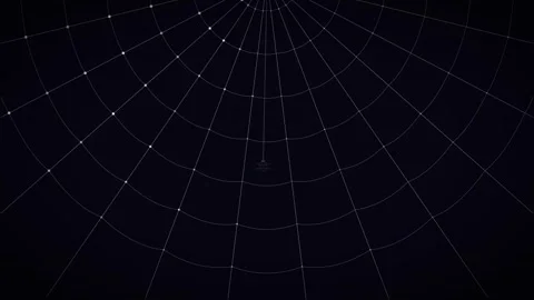 Seamless loop animation of a spider descending on a web from the top center Stock Footage 343266355