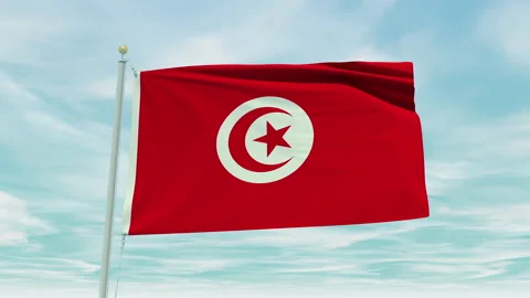 Seamless loop animation of the Tunisia flag on a blue sky background. Stock Footage 211123663