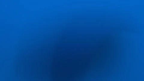 Seamless loop background. 4K smooth blue gradient with soft transitions and dark Stock Footage 309058847