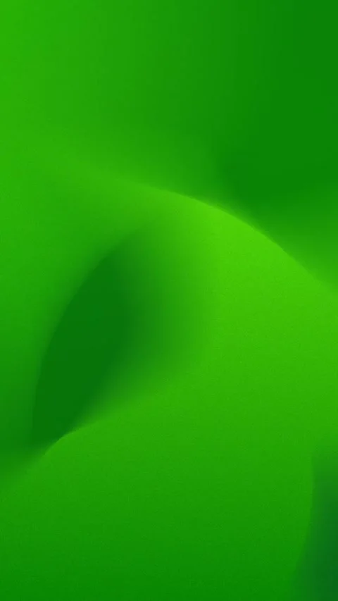 Seamless loop background in bright green with soft, flowing curves and gradients Stockbeeldmateriaal 309701644