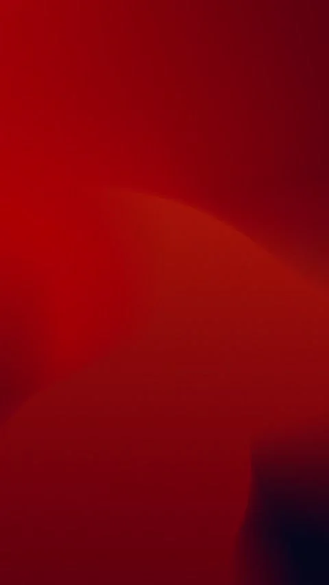 Seamless loop background featuring deep red gradients with soft curved shapes. 库存影片 309701628