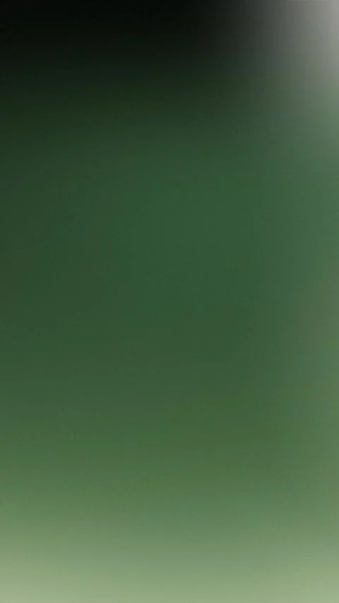 Seamless loop background with smooth green gradient, dark to light. 4K. 動画素材 310143587