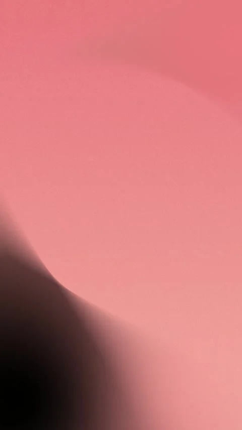 Seamless loop background with smooth pink and black gradient curves. 4K. Stock Footage 309856151