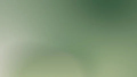 Seamless loop background with soft green gradient and smooth curves. Subtle Stock Footage 299447984