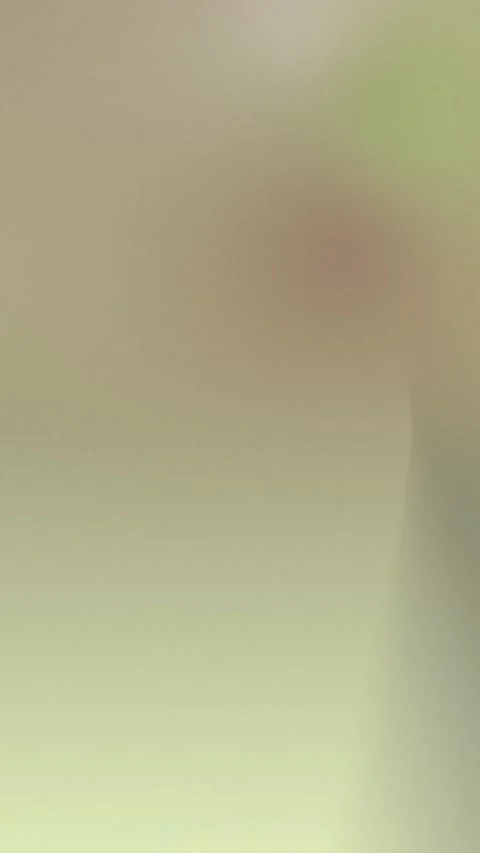 Seamless loop background with soft green and beige gradient. 4K. Stockbeeldmateriaal 310143433