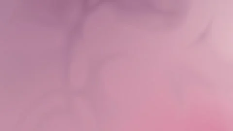 Seamless loop background with soft pink and purple gradients. 4K. Vídeo Stock 309956851