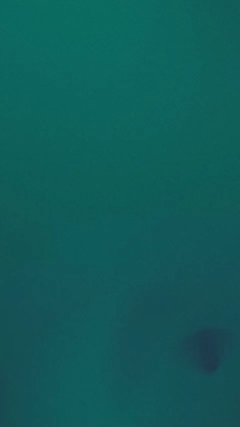 Seamless loop background with teal hues, soft shadow blurs, and texture. 4K. Видео 309701480