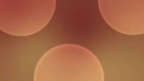 Seamless loop background with warm circular shapes. Soft gradient blend of coral 動画素材 309956319