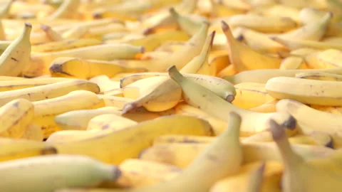 Seamless Loop of bananas. Smooth camera with bokeh. Stock Footage 239024448
