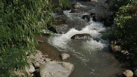 Seamless loop of beautiful long exposure tropical river stream. Stock Footage 336311060