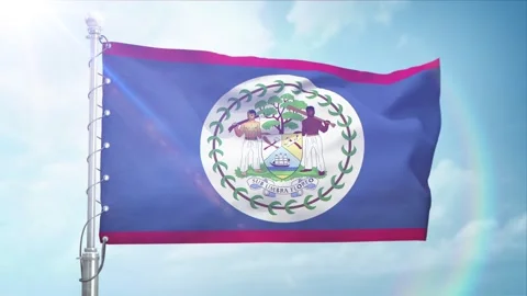 Seamless Loop Of Belize Flag Side view In sunset blue sky Stock Footage 296933864