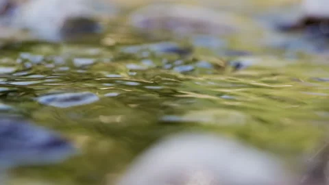 Seamless loop of blurred green reflections on river water Stock Footage 345729487